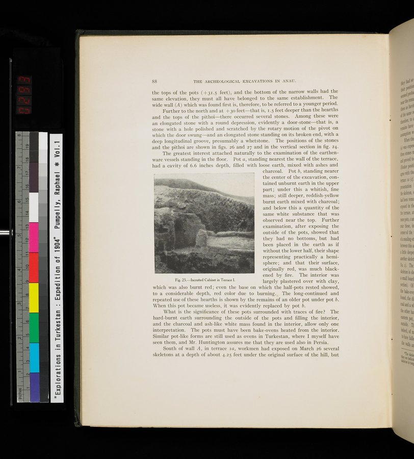Explorations in Turkestan : Expedition of 1904 : vol.1 / 146 ページ（カラー画像）