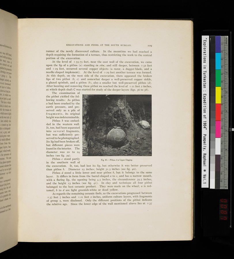 Explorations in Turkestan : Expedition of 1904 : vol.1 / 173 ページ（カラー画像）