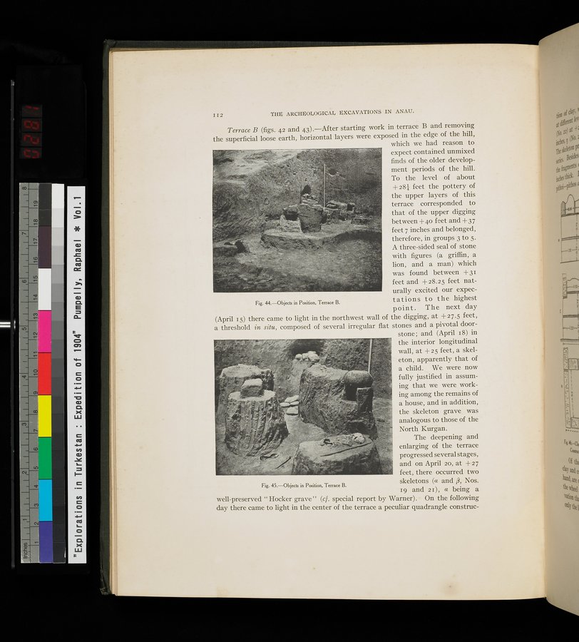 Explorations in Turkestan : Expedition of 1904 : vol.1 / 176 ページ（カラー画像）