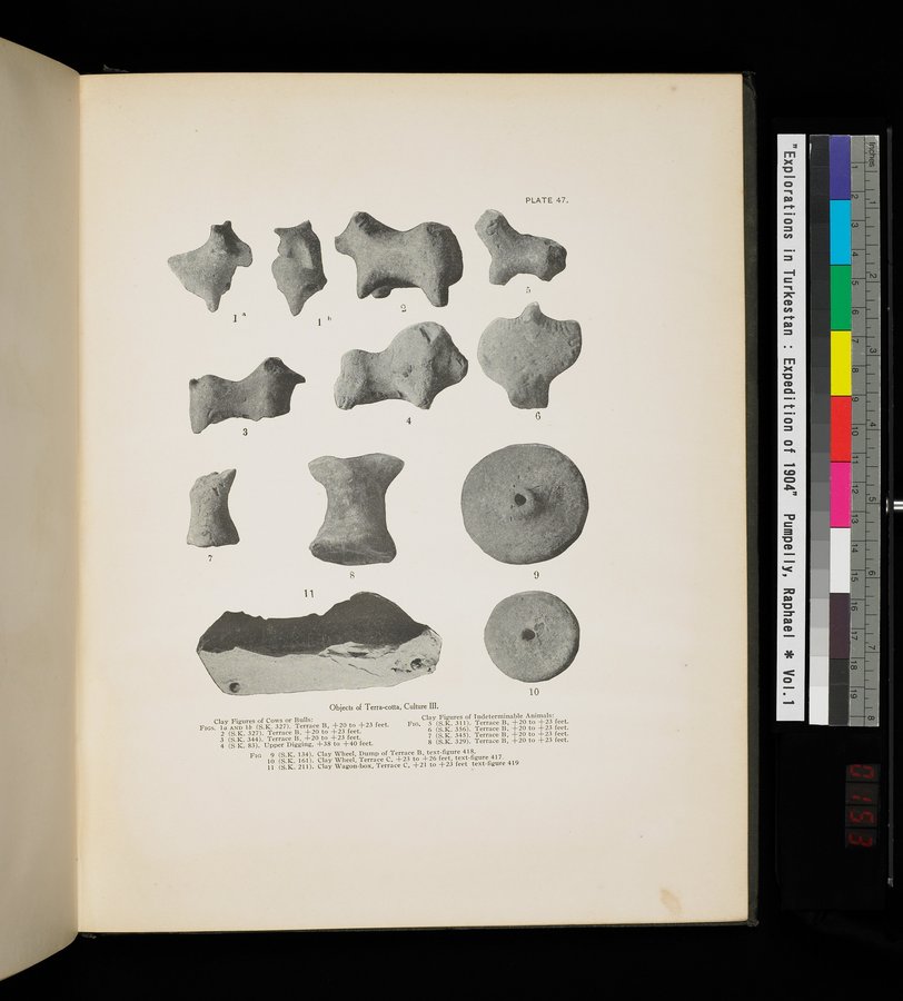 Explorations in Turkestan : Expedition of 1904 : vol.1 / Page 305 (Color Image)