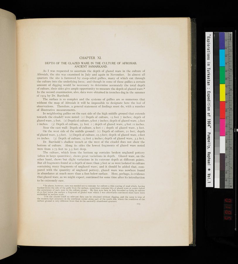 Explorations in Turkestan : Expedition of 1904 : vol.1 / 369 ページ（カラー画像）