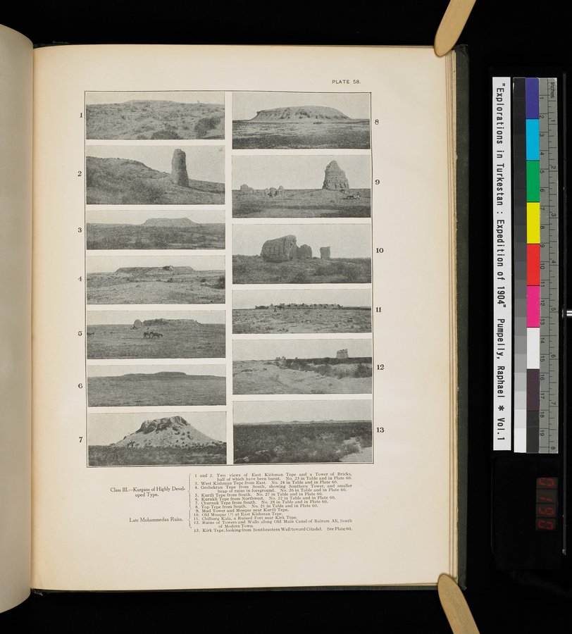 Explorations in Turkestan : Expedition of 1904 : vol.1 / 379 ページ（カラー画像）