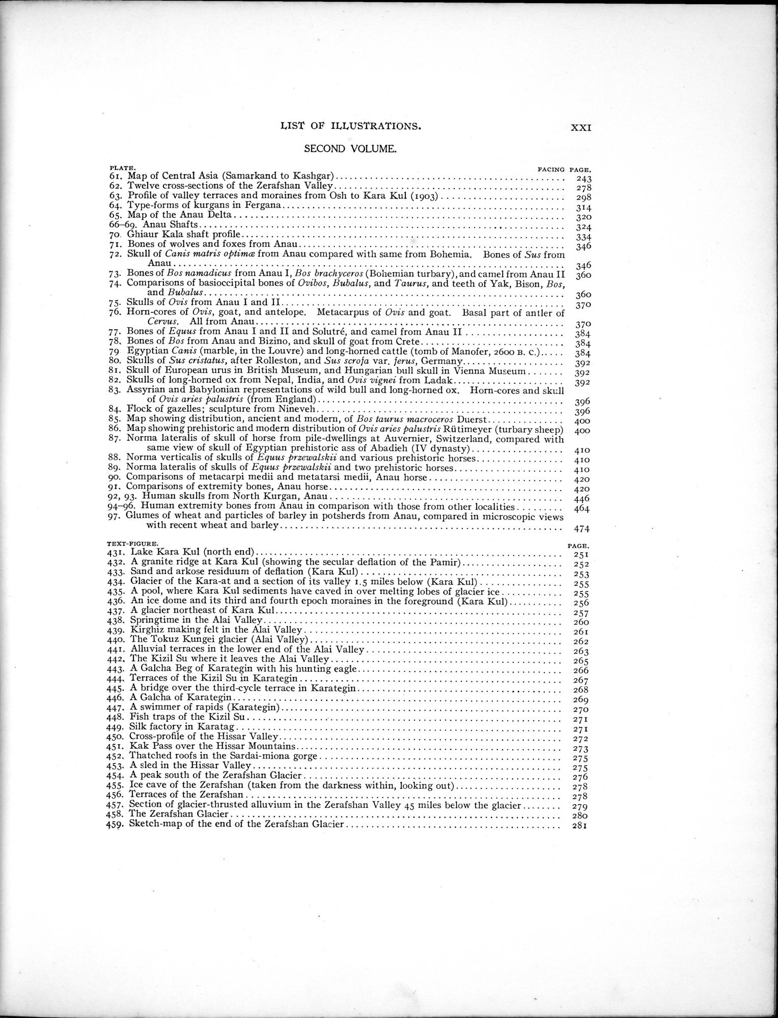 Explorations in Turkestan : Expedition of 1904 : vol.1 / 29 ページ（白黒高解像度画像）