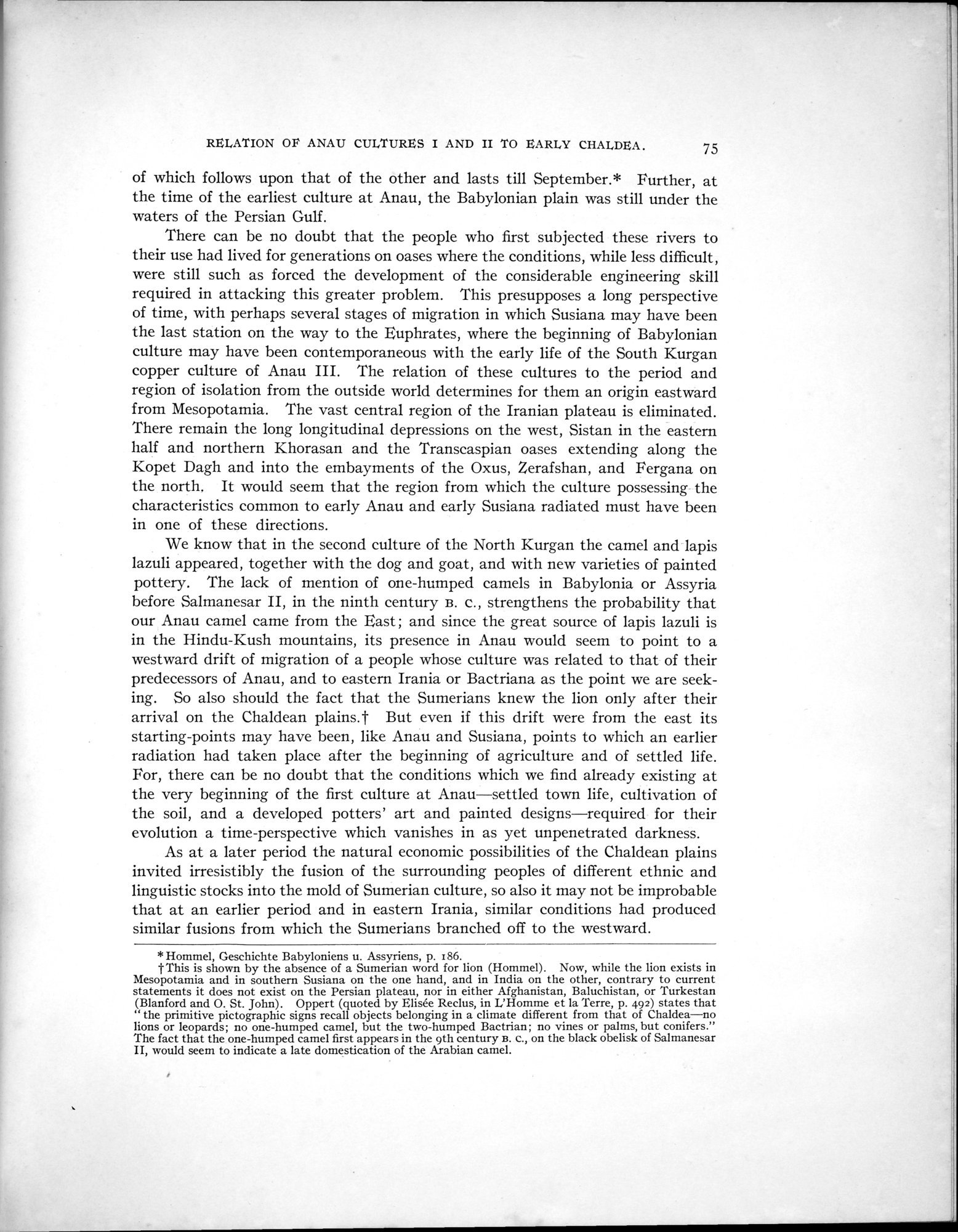 Explorations in Turkestan : Expedition of 1904 : vol.1 / 131 ページ（白黒高解像度画像）