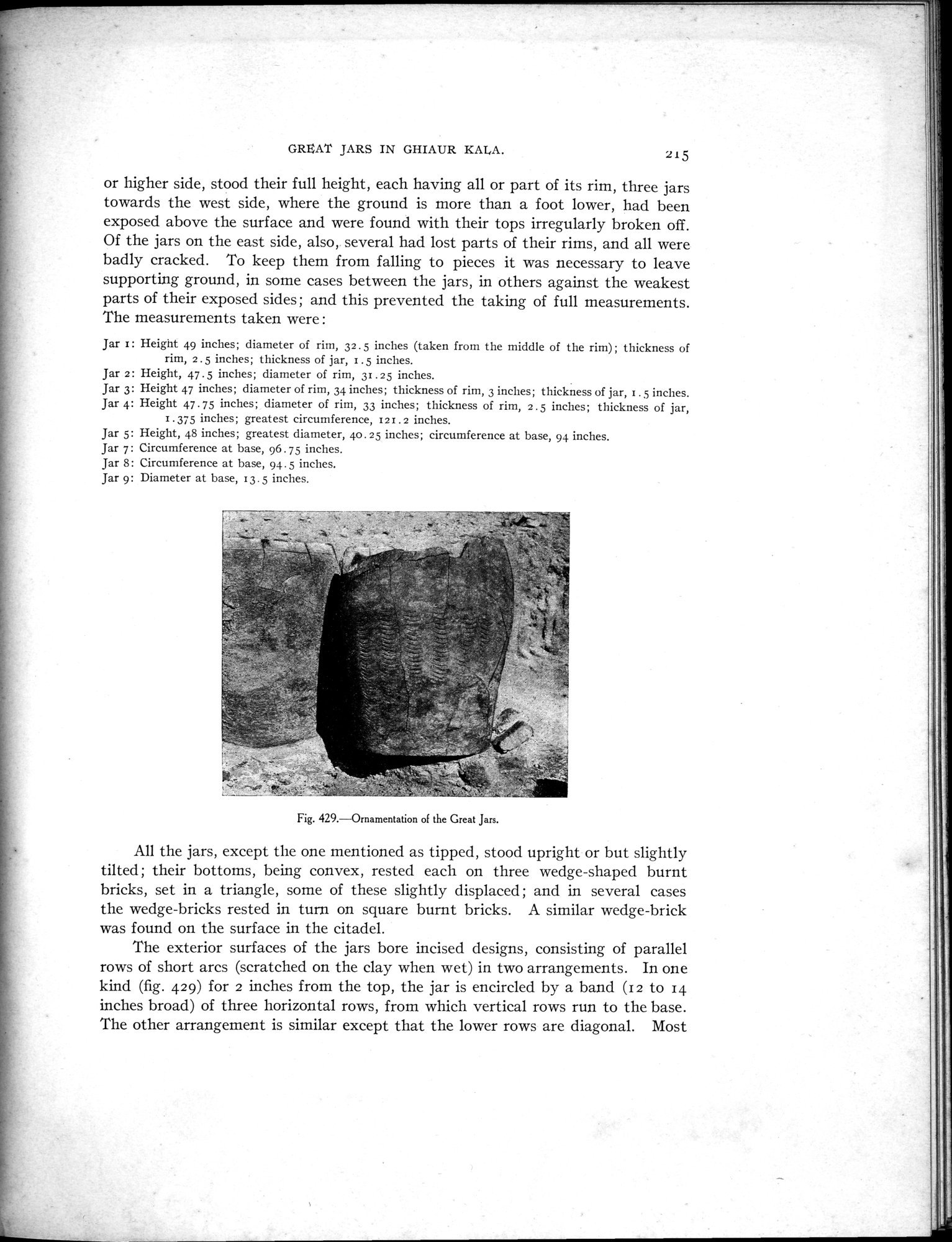 Explorations in Turkestan : Expedition of 1904 : vol.1 / 371 ページ（白黒高解像度画像）