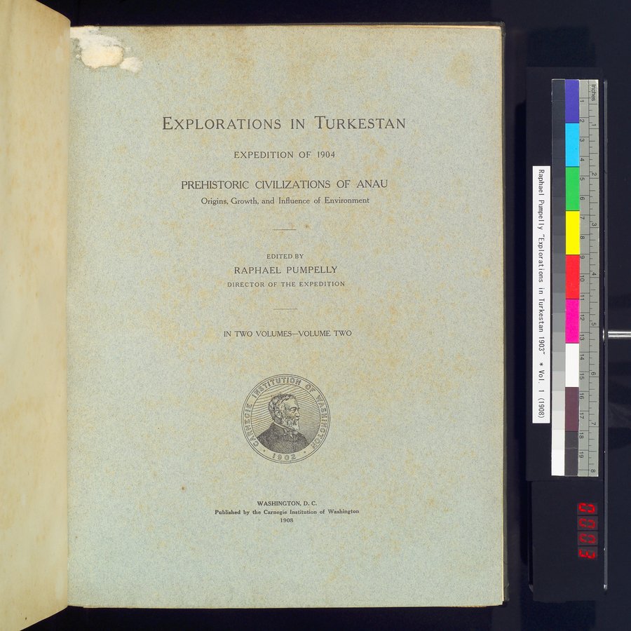 Explorations in Turkestan : Expedition of 1904 : vol.2 / 5 ページ（カラー画像）