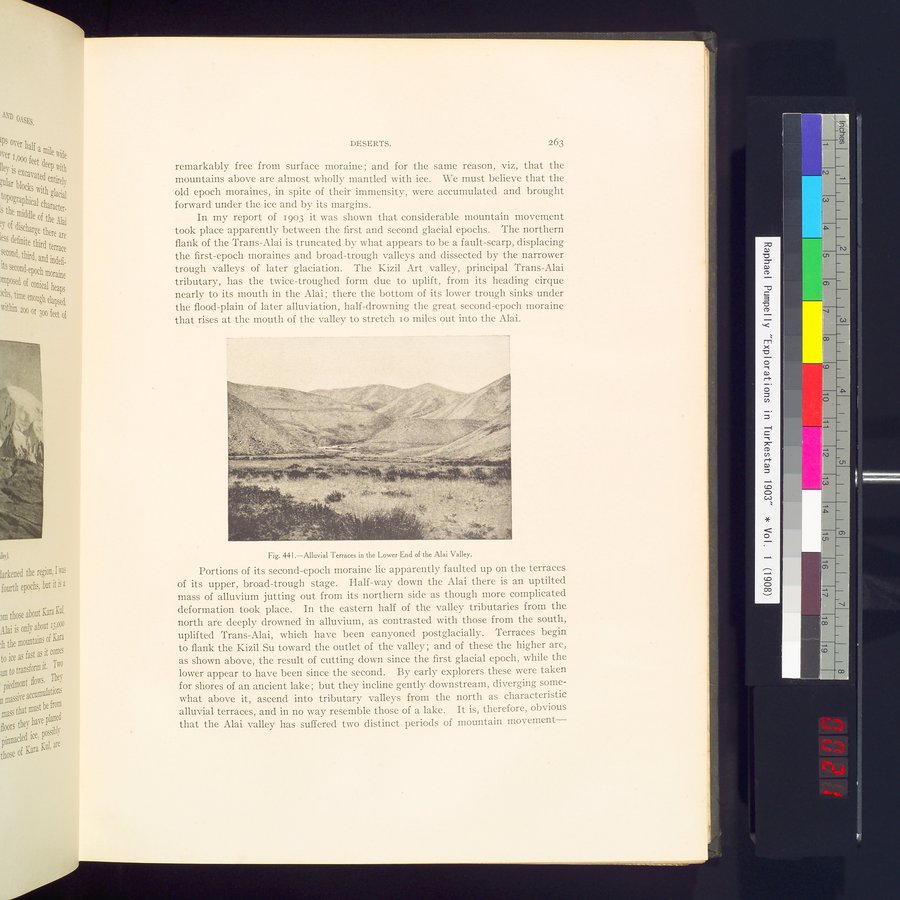 Explorations in Turkestan : Expedition of 1904 : vol.2 / 43 ページ（カラー画像）