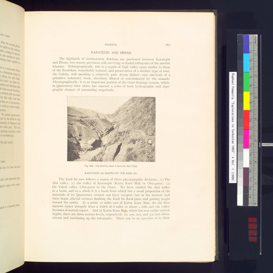 Explorations in Turkestan : Expedition of 1904 : vol.2 / 45 ページ（カラー画像）