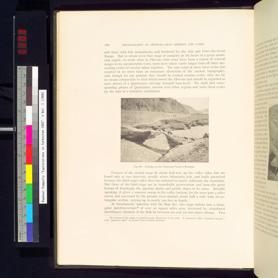 Explorations in Turkestan : Expedition of 1904 : vol.2 / 48 ページ（カラー画像）