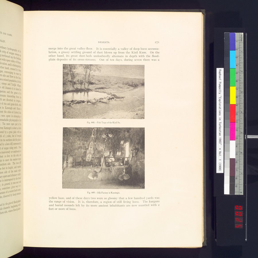 Explorations in Turkestan : Expedition of 1904 : vol.2 / 51 ページ（カラー画像）