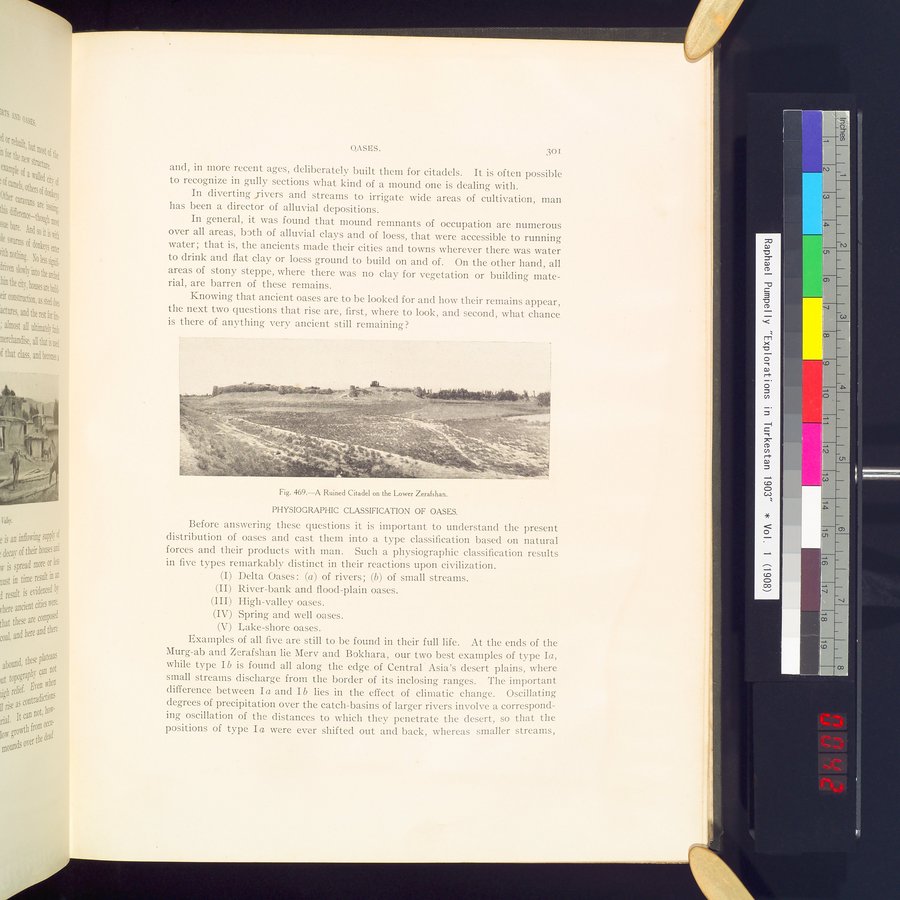 Explorations in Turkestan : Expedition of 1904 : vol.2 / 85 ページ（カラー画像）