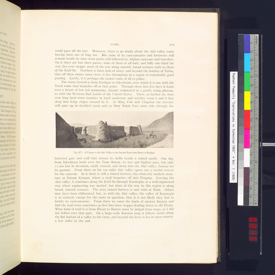 Explorations in Turkestan : Expedition of 1904 : vol.2 / 93 ページ（カラー画像）