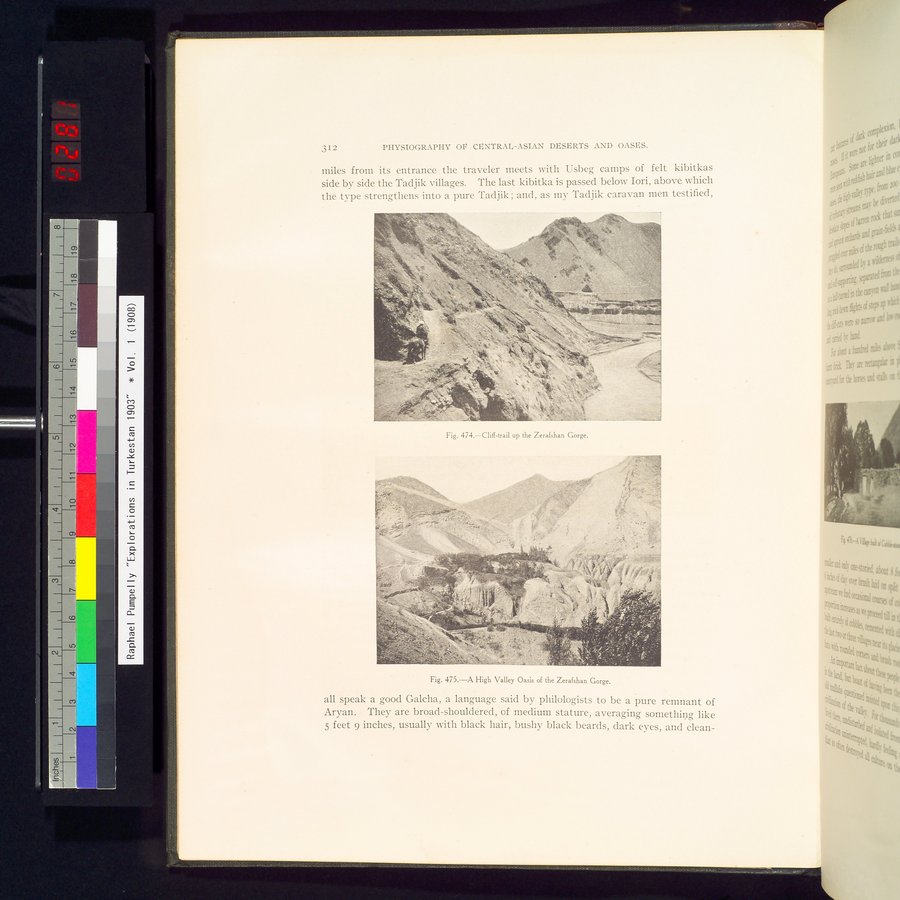 Explorations in Turkestan : Expedition of 1904 : vol.2 / 96 ページ（カラー画像）