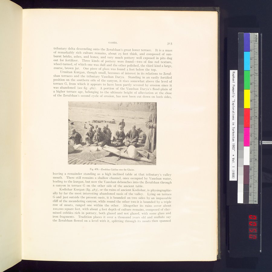 Explorations in Turkestan : Expedition of 1904 : vol.2 / 101 ページ（カラー画像）