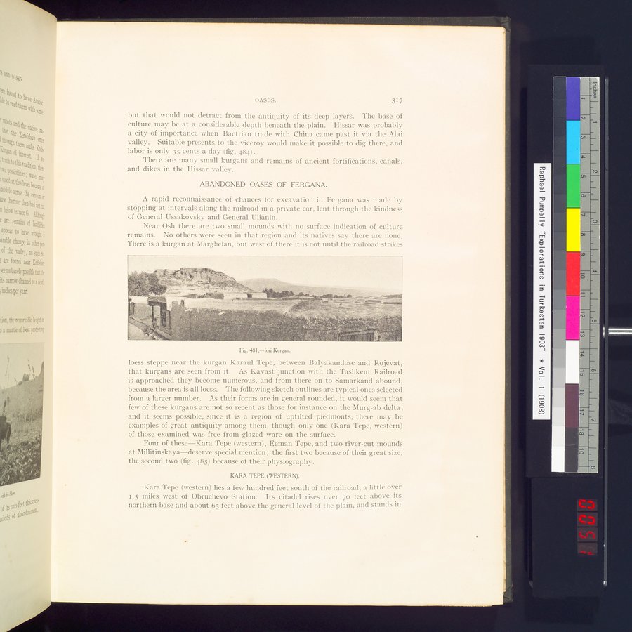 Explorations in Turkestan : Expedition of 1904 : vol.2 / 103 ページ（カラー画像）
