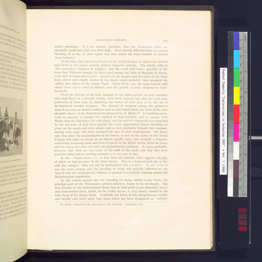 Explorations in Turkestan : Expedition of 1904 : vol.2 / 275 ページ（カラー画像）