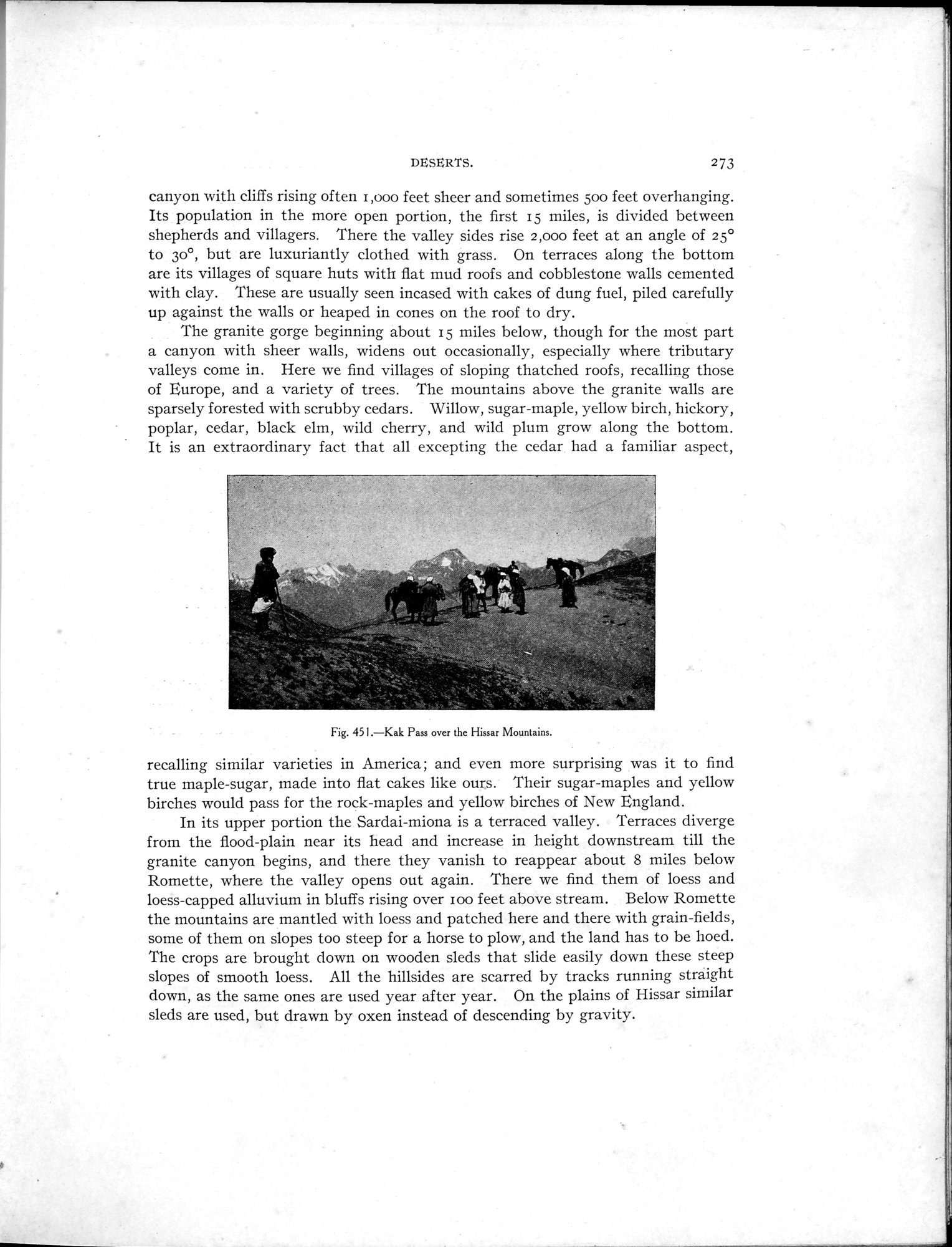 Explorations in Turkestan : Expedition of 1904 : vol.2 / 53 ページ（白黒高解像度画像）