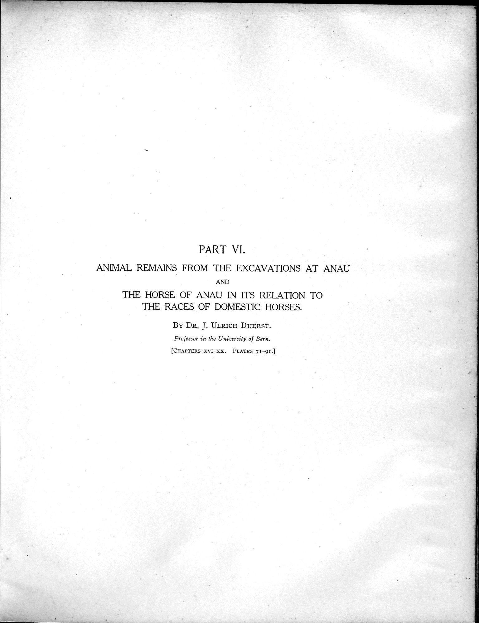 Explorations in Turkestan : Expedition of 1904 : vol.2 / 137 ページ（白黒高解像度画像）