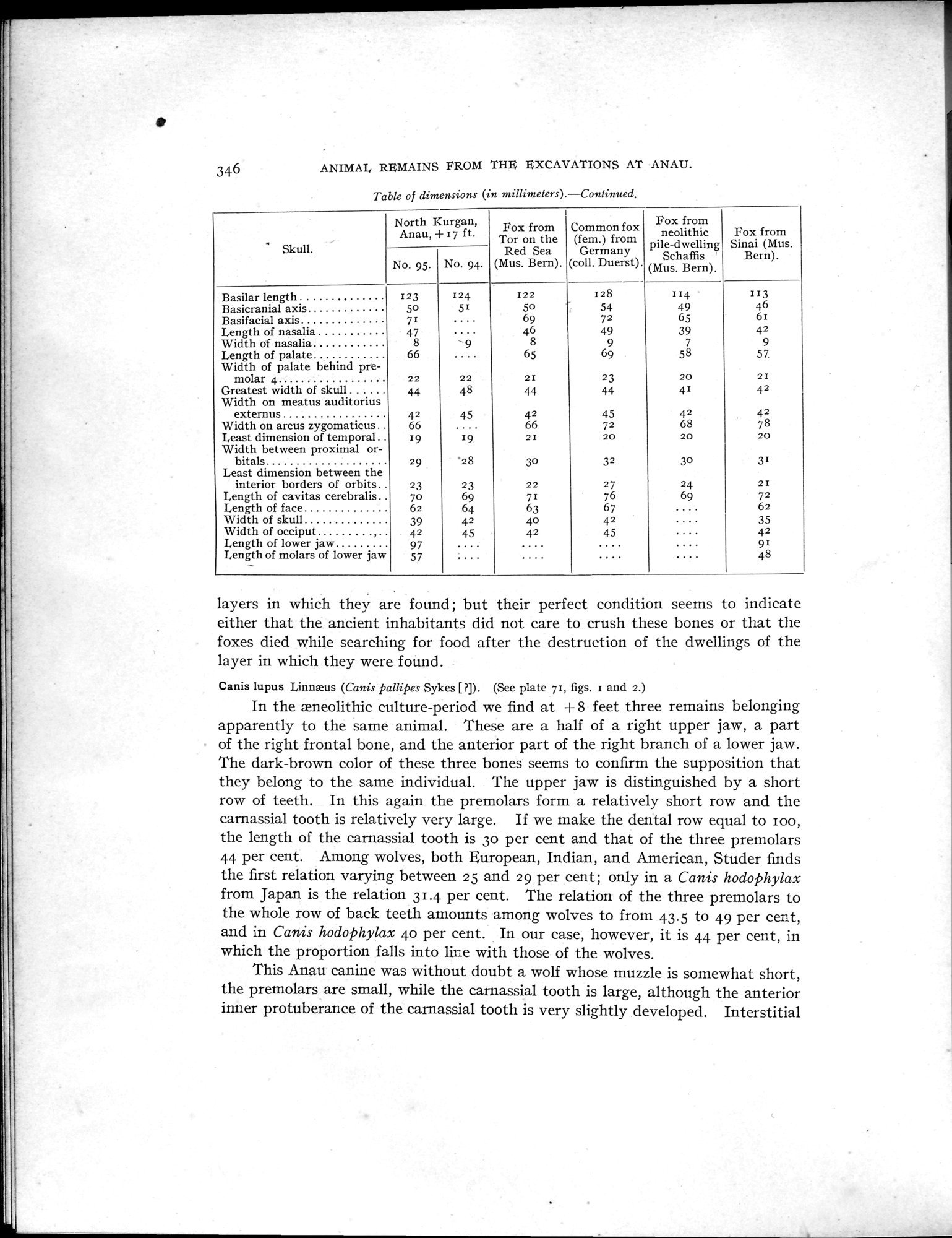 Explorations in Turkestan : Expedition of 1904 : vol.2 / 144 ページ（白黒高解像度画像）