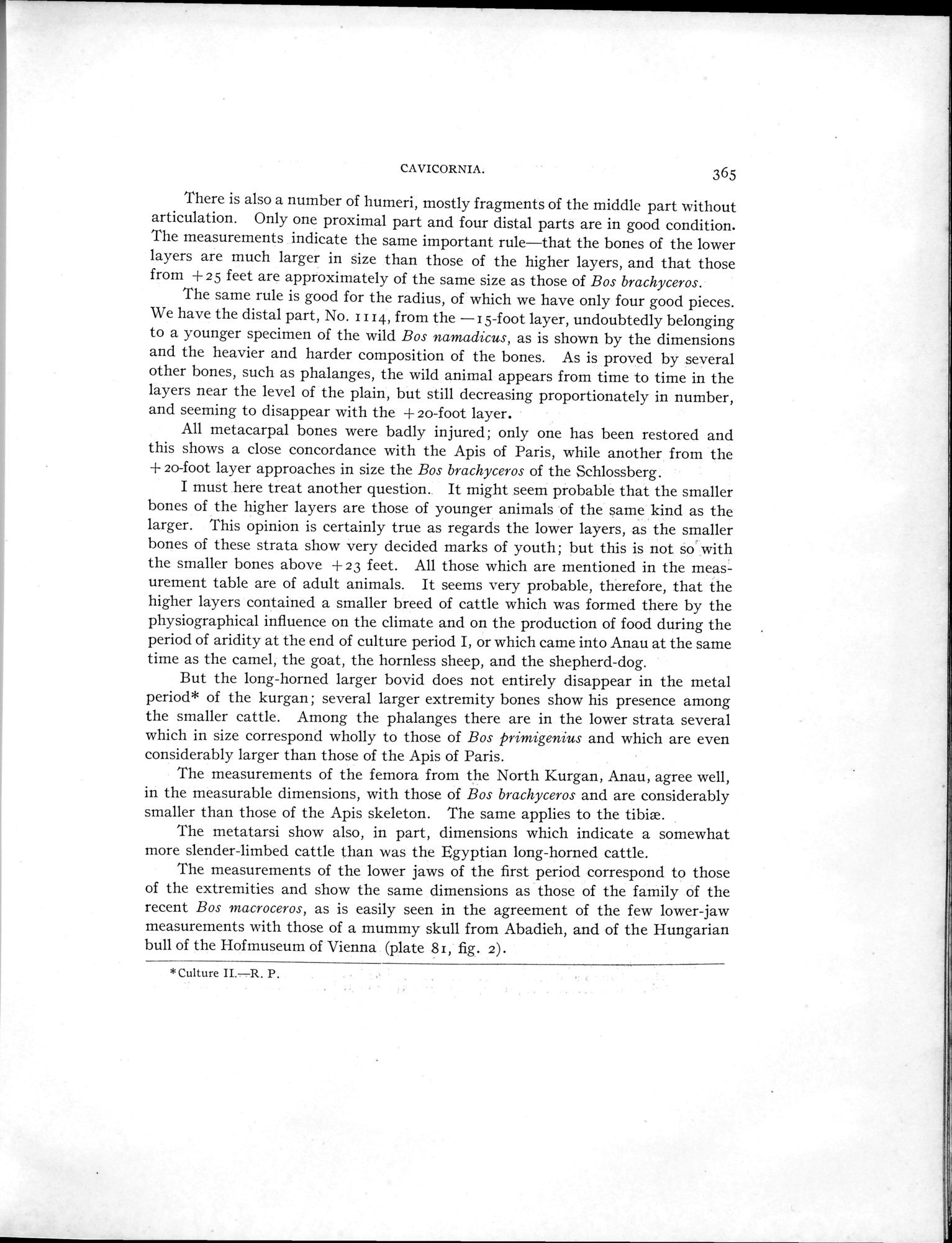 Explorations in Turkestan : Expedition of 1904 : vol.2 / 171 ページ（白黒高解像度画像）
