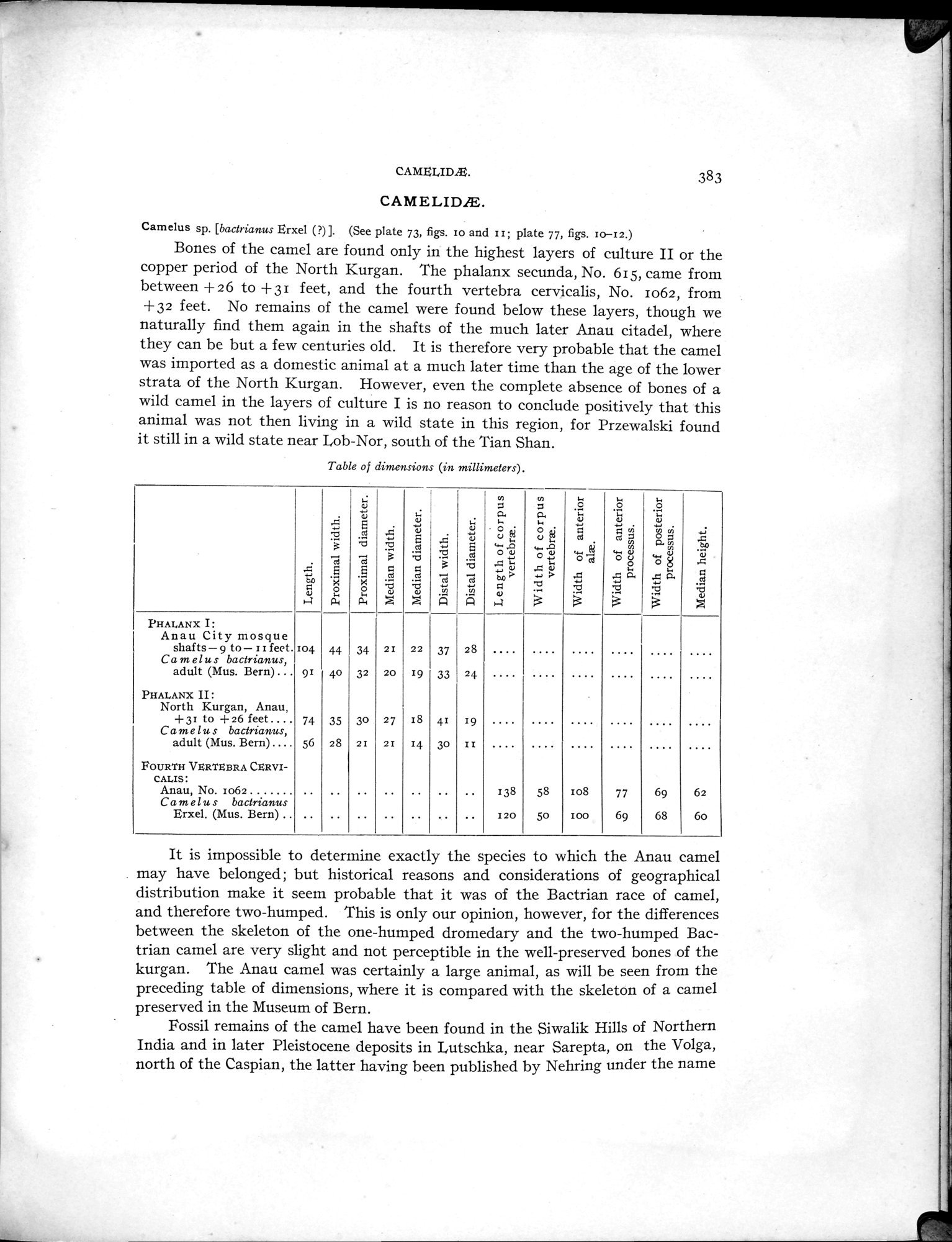 Explorations in Turkestan : Expedition of 1904 : vol.2 / 193 ページ（白黒高解像度画像）