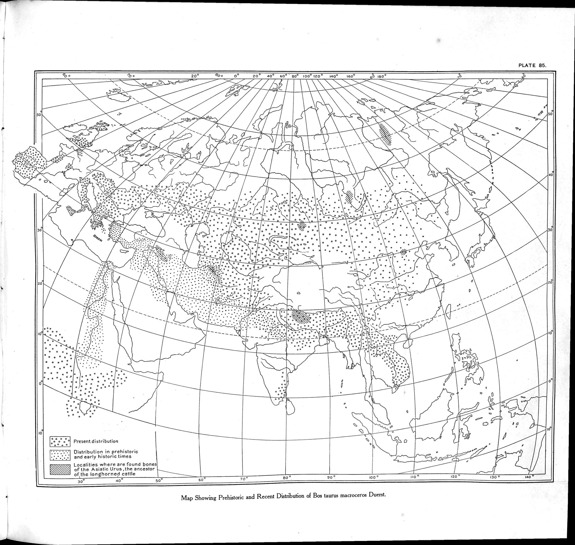 Explorations in Turkestan : Expedition of 1904 : vol.2 / 227 ページ（白黒高解像度画像）