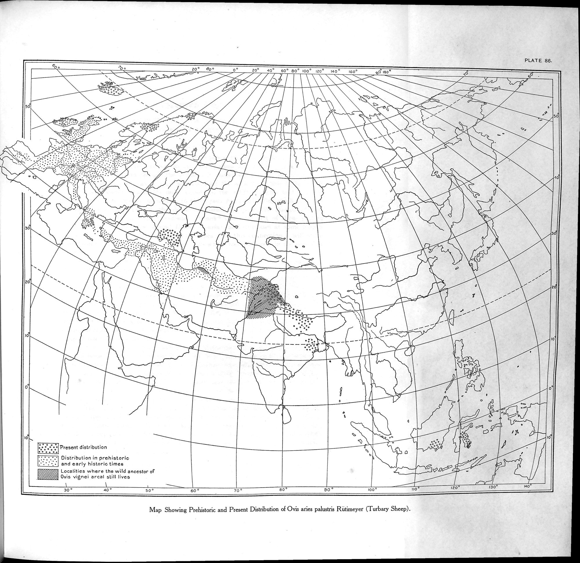 Explorations in Turkestan : Expedition of 1904 : vol.2 / 229 ページ（白黒高解像度画像）