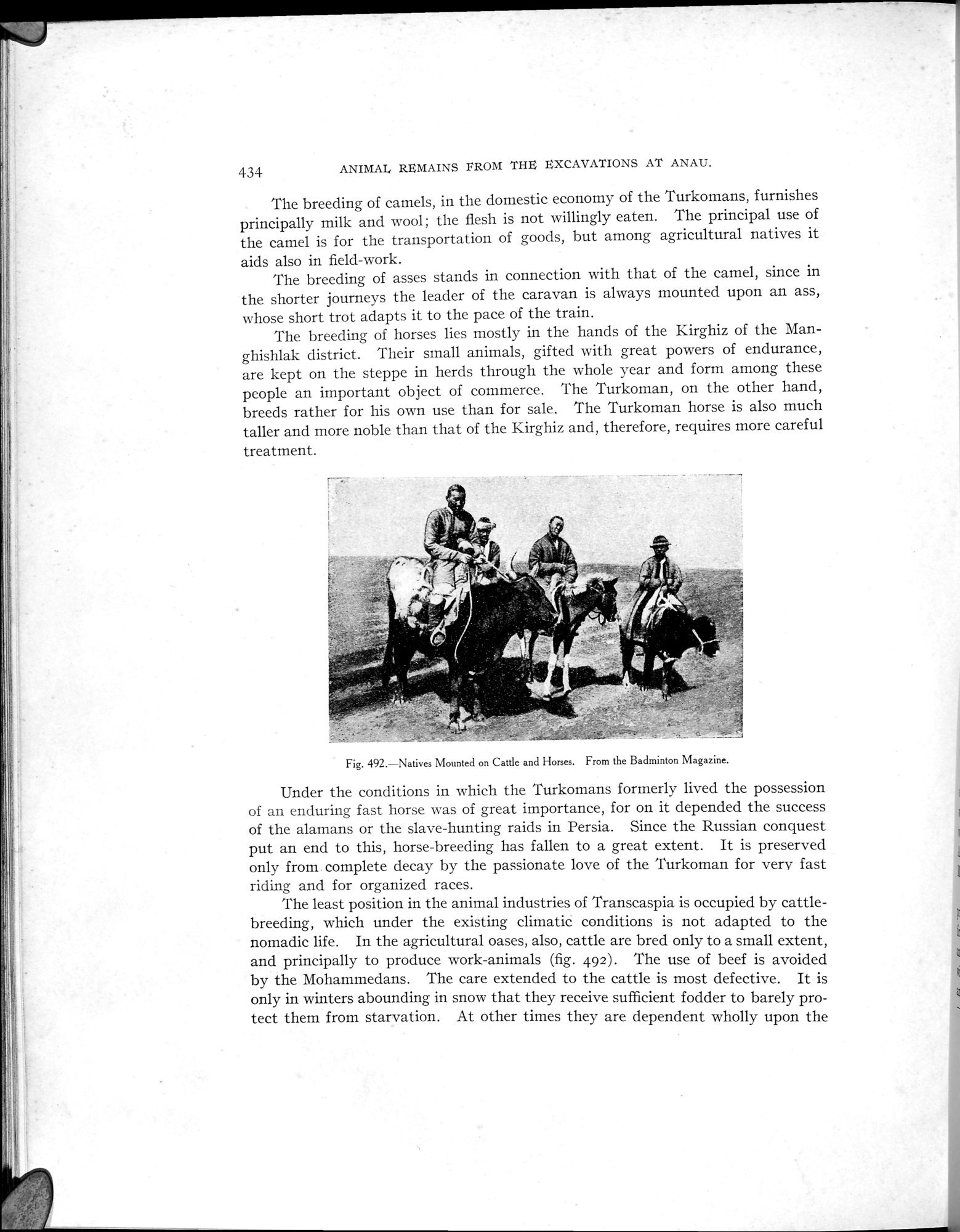 Explorations in Turkestan : Expedition of 1904 : vol.2 / 274 ページ（白黒高解像度画像）