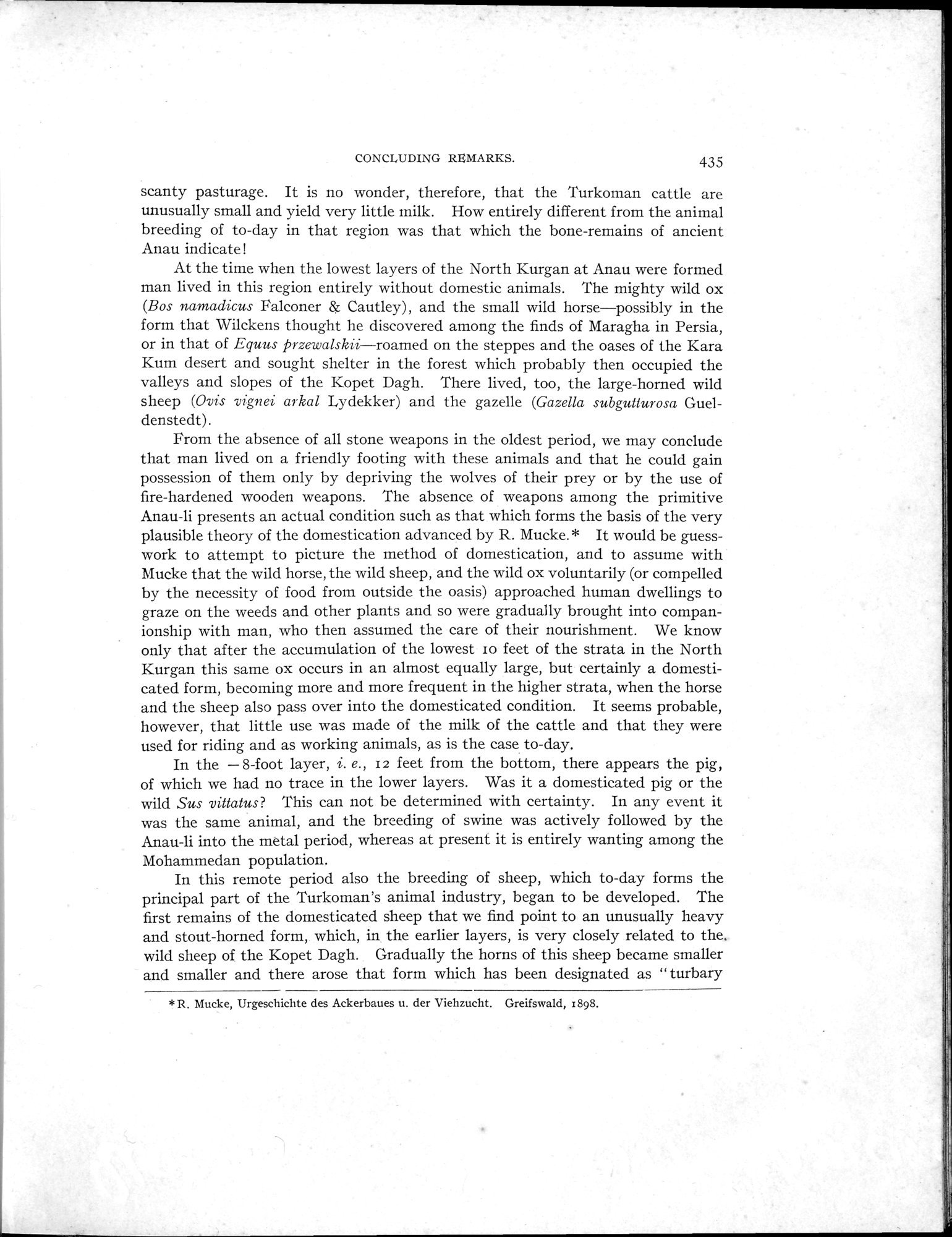 Explorations in Turkestan : Expedition of 1904 : vol.2 / 275 ページ（白黒高解像度画像）