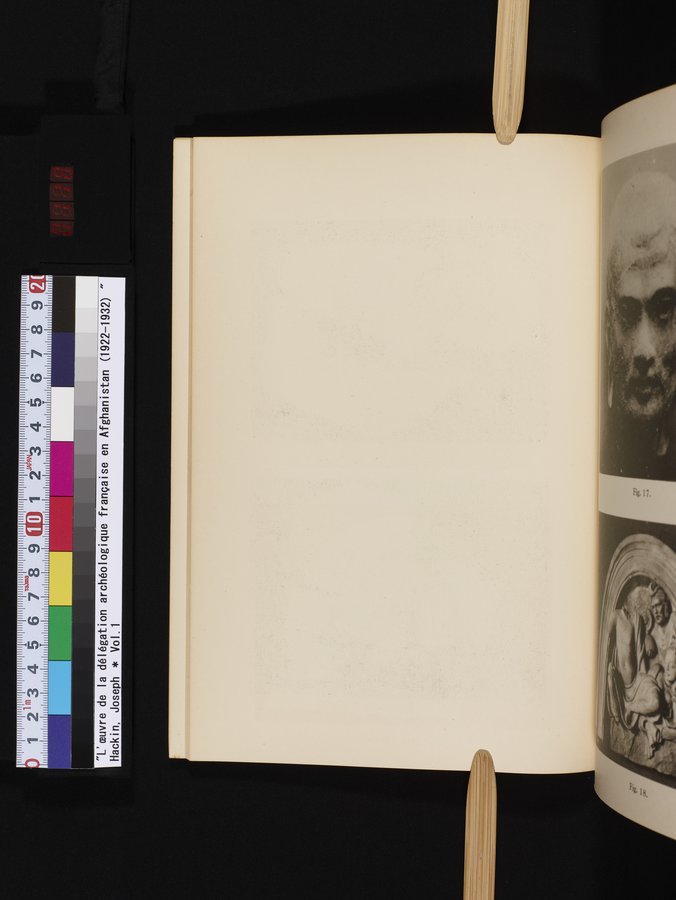 L'Œuvre de la Délégation Archéologique Française en Afghanistan (1922-1932) : vol.1 / 118 ページ（カラー画像）