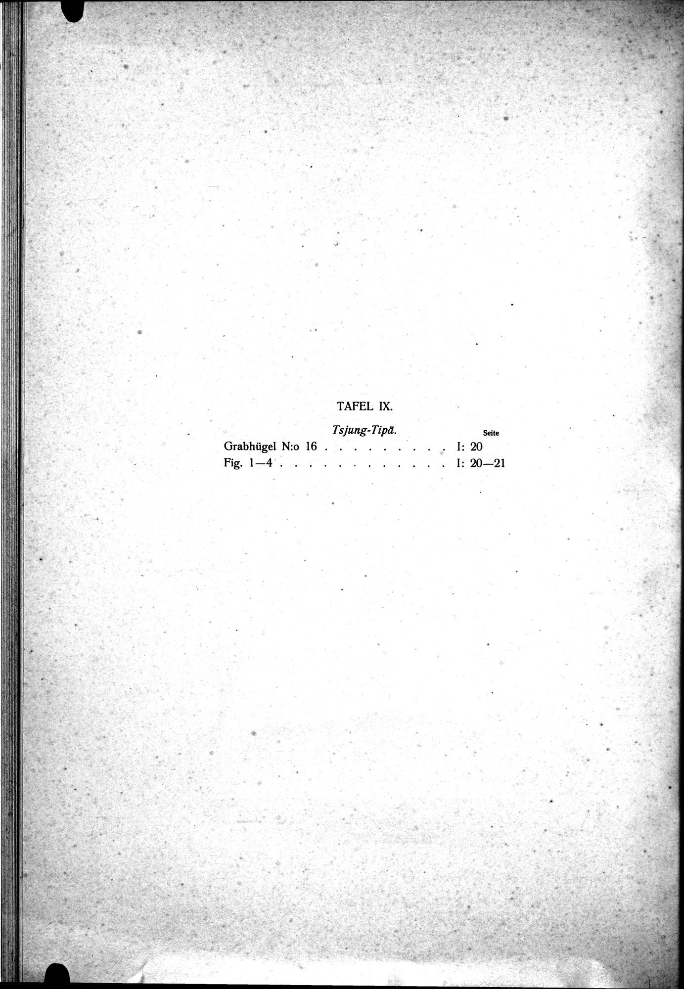 Altertümer aus dem Tale des Talas in Turkestan : vol.1 / 102 ページ（白黒高解像度画像）