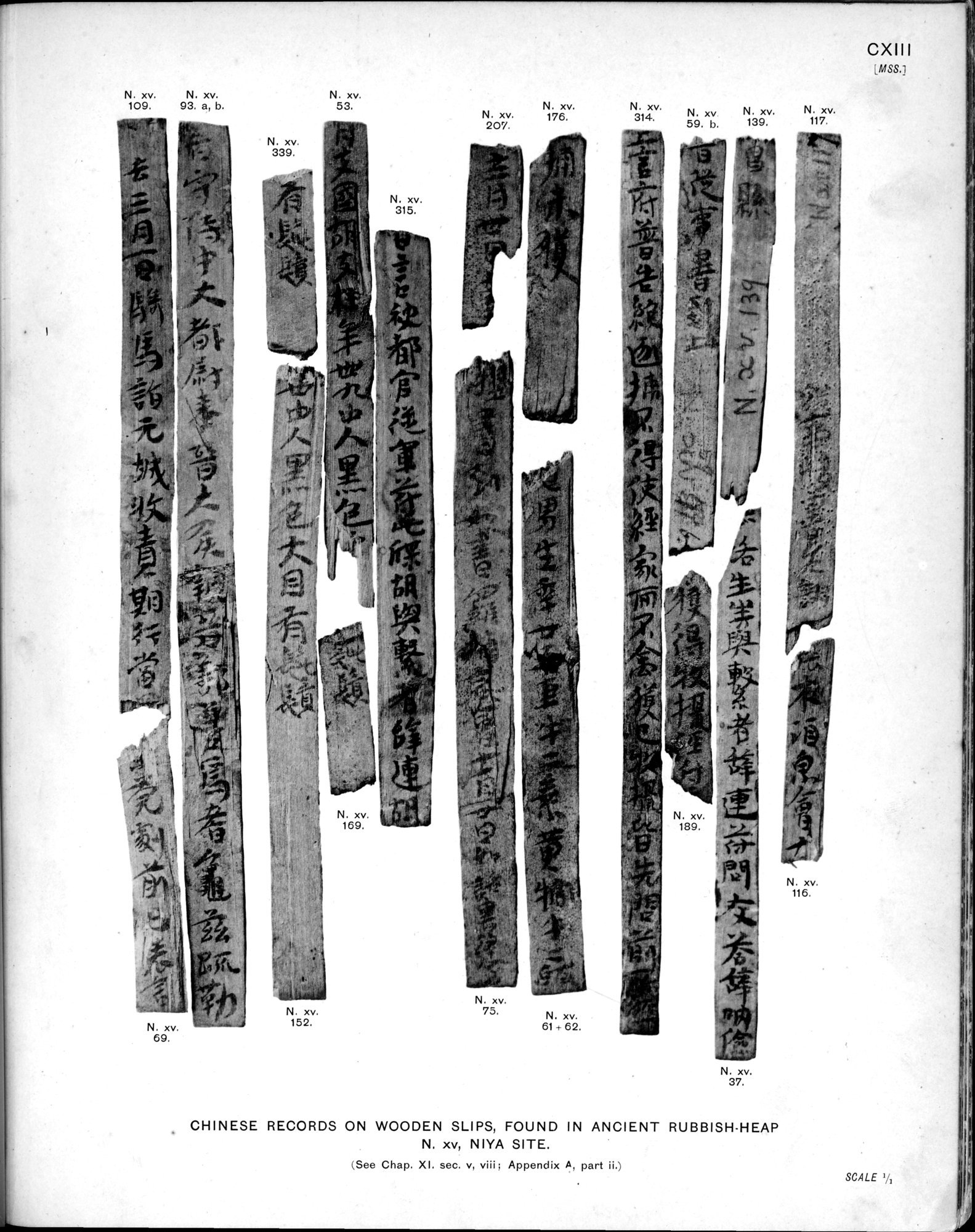 Ancient Khotan : vol.2 / Page 237 (Grayscale High Resolution Image)