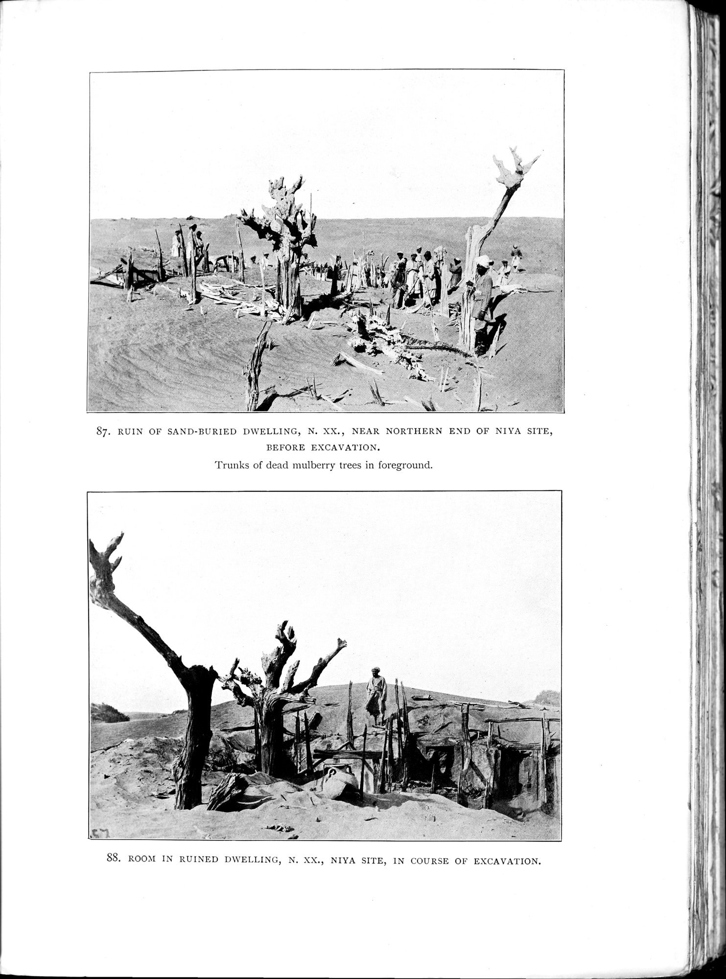 Ruins of Desert Cathay : vol.1 / 441 ページ（白黒高解像度画像）