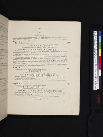 Les documents chinois découverts par Aurel Stein dans les sables du Turkestan Oriental : vol.1 : Page 255