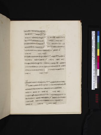 Les documents chinois découverts par Aurel Stein dans les sables du Turkestan Oriental : vol.1 : Page 399