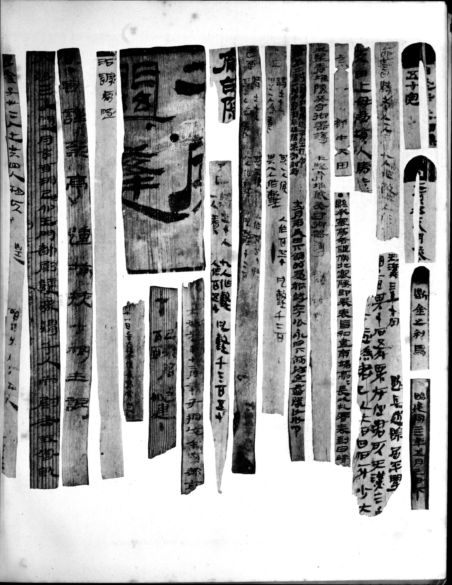 Les documents chinois découverts par Aurel Stein dans les sables du Turkestan Oriental : vol.1 / 303 ページ（白黒高解像度画像）