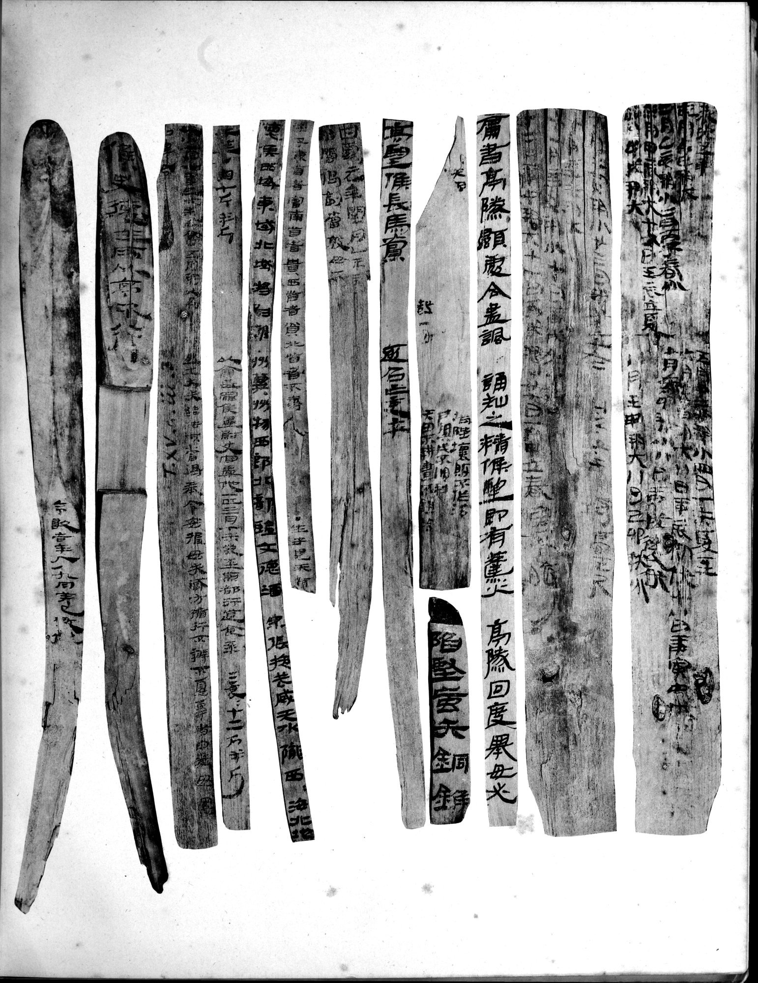 Les documents chinois découverts par Aurel Stein dans les sables du Turkestan Oriental : vol.1 / 319 ページ（白黒高解像度画像）