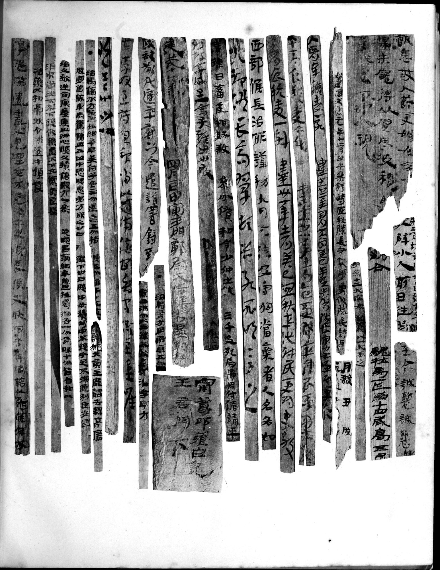 Les documents chinois découverts par Aurel Stein dans les sables du Turkestan Oriental : vol.1 / 323 ページ（白黒高解像度画像）