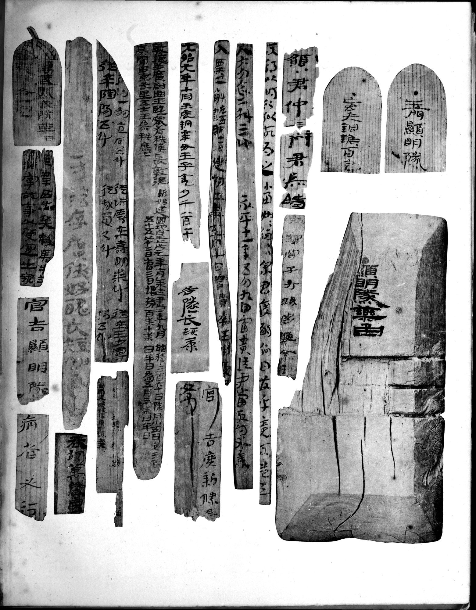 Les documents chinois découverts par Aurel Stein dans les sables du Turkestan Oriental : vol.1 / 335 ページ（白黒高解像度画像）