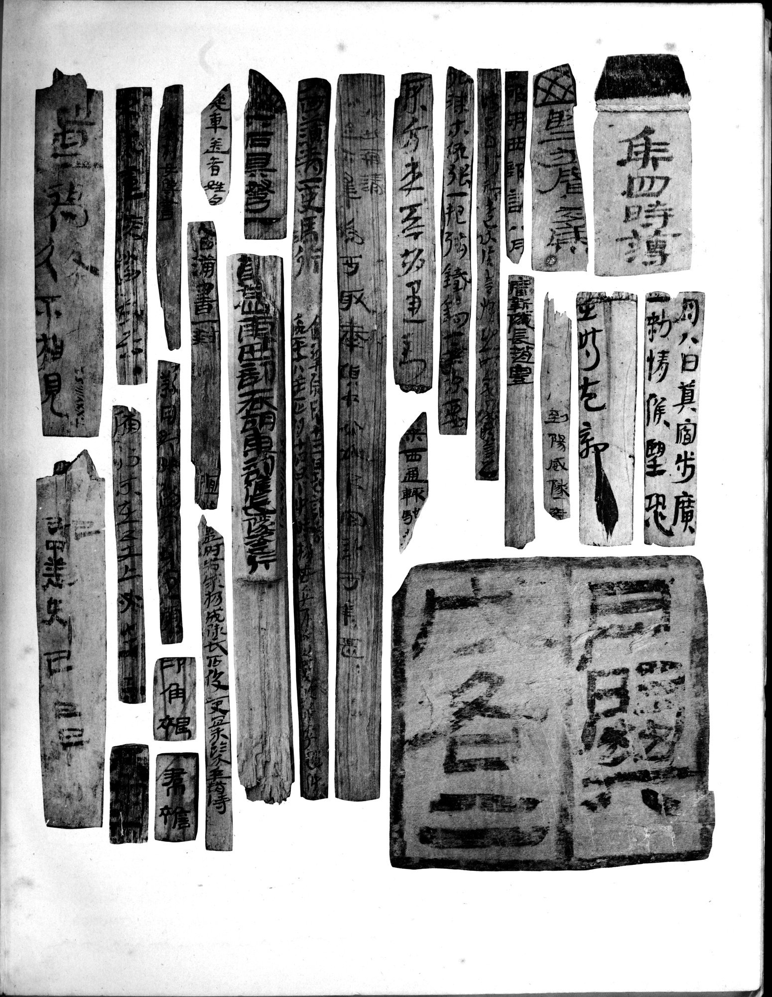 Les documents chinois découverts par Aurel Stein dans les sables du Turkestan Oriental : vol.1 / 339 ページ（白黒高解像度画像）