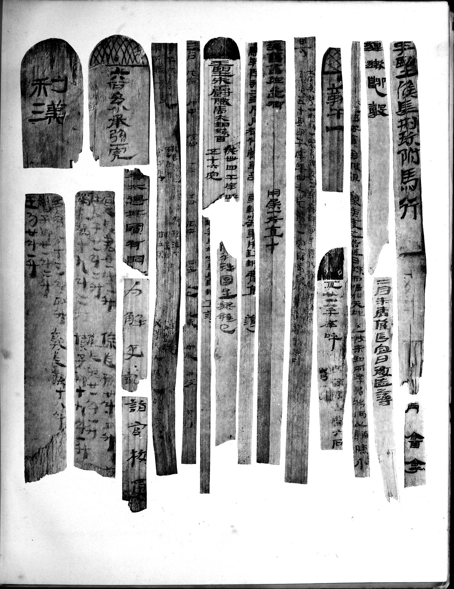 Les documents chinois découverts par Aurel Stein dans les sables du Turkestan Oriental : vol.1 / 343 ページ（白黒高解像度画像）