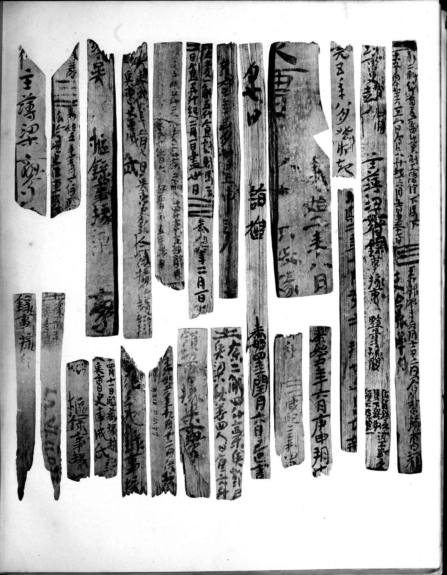 Les documents chinois découverts par Aurel Stein dans les sables du Turkestan Oriental : vol.1 / 355 ページ（白黒高解像度画像）