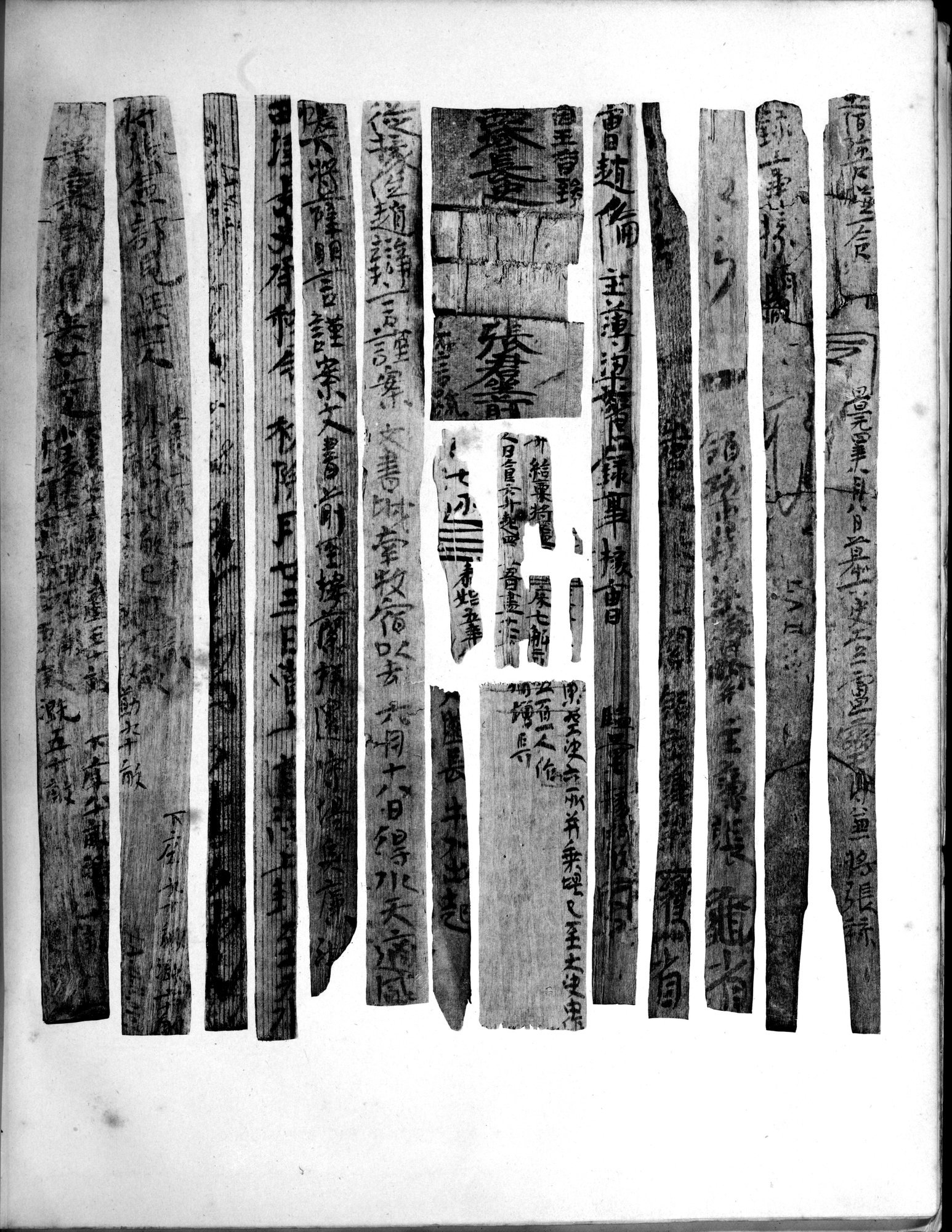 Les documents chinois découverts par Aurel Stein dans les sables du Turkestan Oriental : vol.1 / Page 359 (Grayscale High Resolution Image)