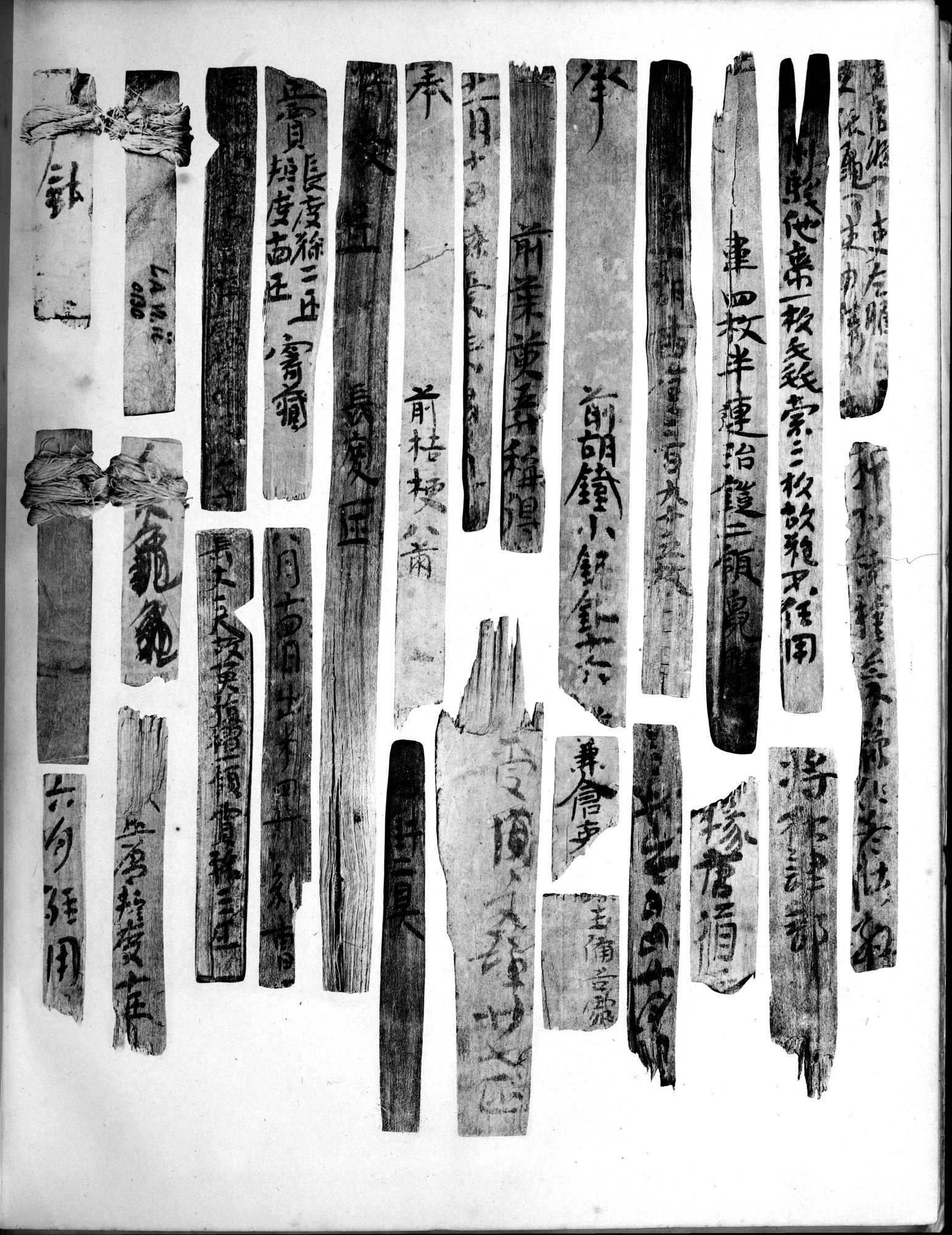 Les documents chinois découverts par Aurel Stein dans les sables du Turkestan Oriental : vol.1 / 367 ページ（白黒高解像度画像）