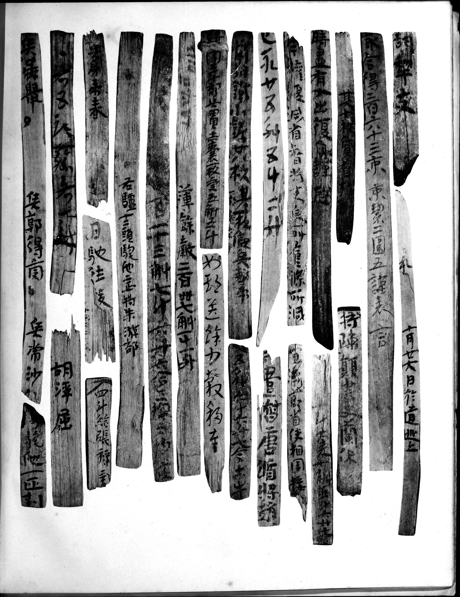 Les documents chinois découverts par Aurel Stein dans les sables du Turkestan Oriental : vol.1 / Page 371 (Grayscale High Resolution Image)