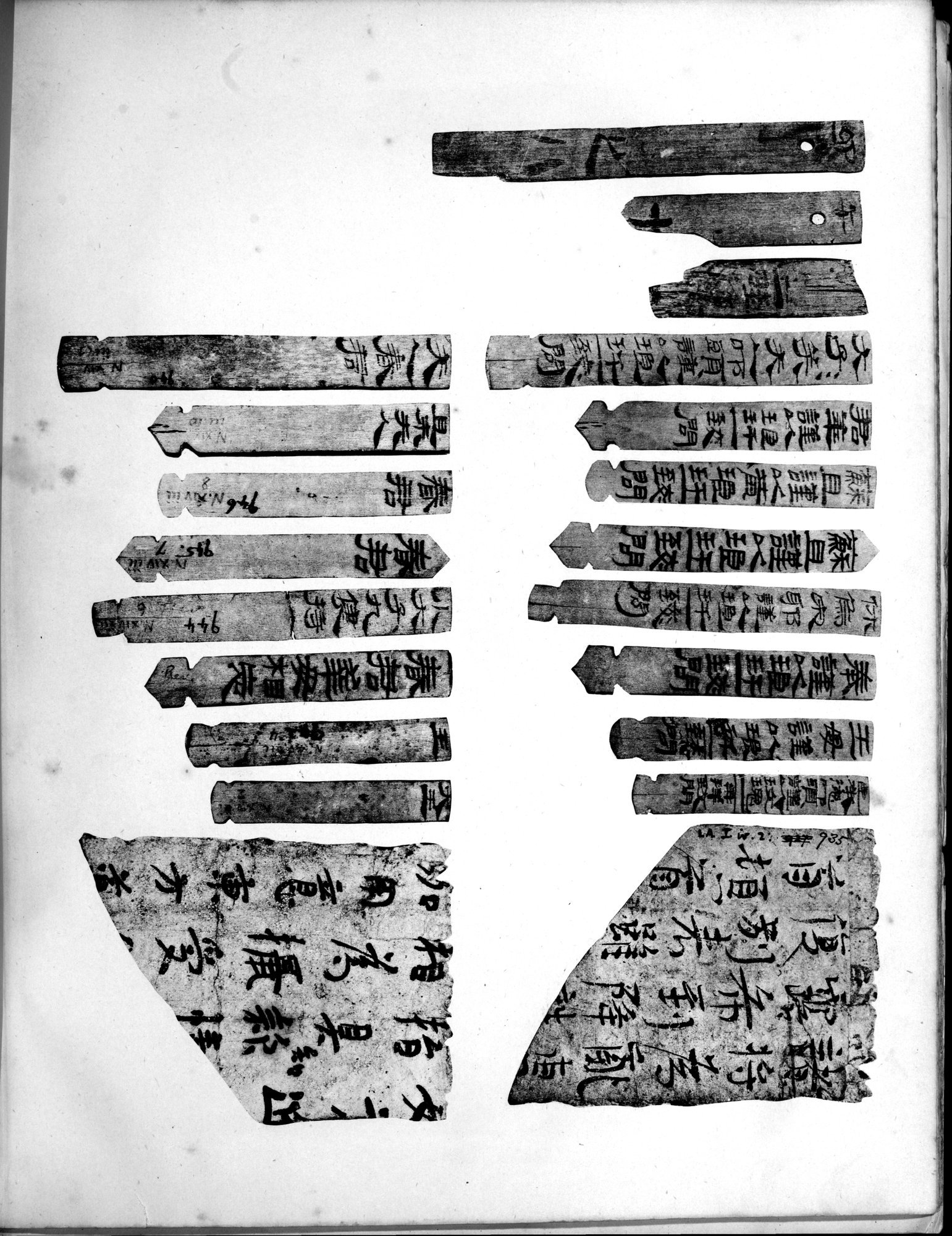 Les documents chinois découverts par Aurel Stein dans les sables du Turkestan Oriental : vol.1 / 391 ページ（白黒高解像度画像）