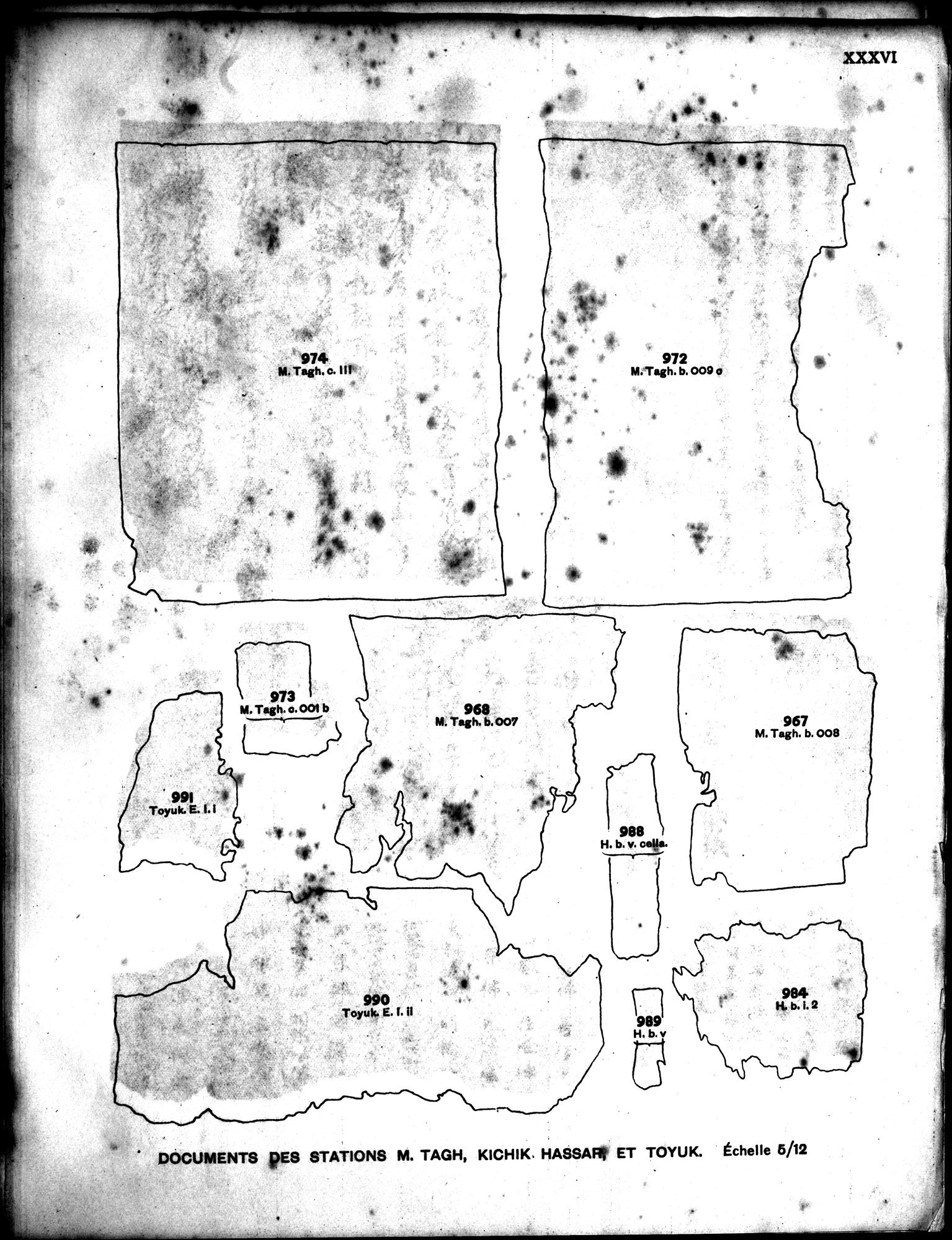 Les documents chinois découverts par Aurel Stein dans les sables du Turkestan Oriental : vol.1 / 409 ページ（白黒高解像度画像）