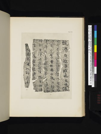 Die Chinesischen Handschriften- und sonstigen Kleinfunde Sven Hedins in Lou-lan : vol.1 : Page 223