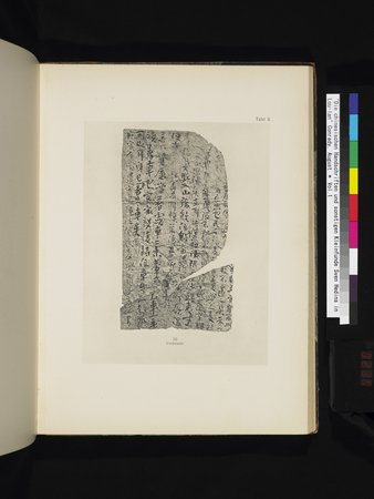 Die Chinesischen Handschriften- und sonstigen Kleinfunde Sven Hedins in Lou-lan : vol.1 : Page 237