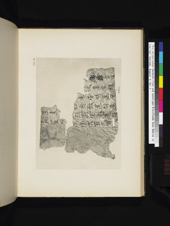 Die Chinesischen Handschriften- und sonstigen Kleinfunde Sven Hedins in Lou-lan : vol.1 : Page 241